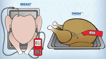 Illustration of how to place the thermometer on a Turkey